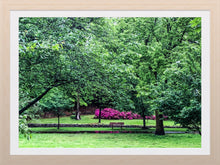 Load image into Gallery viewer, 0287 Park Bench