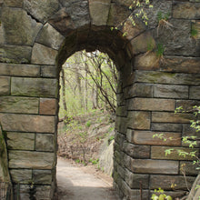 Load image into Gallery viewer, 0584 Central Park Arch