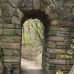 0584 Central Park Arch