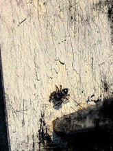 Load image into Gallery viewer, 0322 Itsy-Bitsy Spider