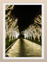 Load image into Gallery viewer, 0479 Lit Tree Path