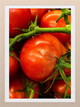Load image into Gallery viewer, 0414 Tomatoes On The Vine