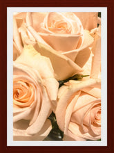 Load image into Gallery viewer, 0506 Peach Roses