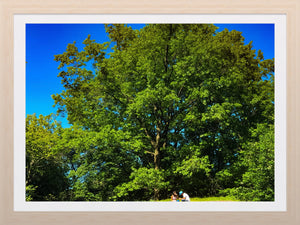 0305 Picnic For Two