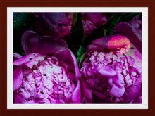 Load image into Gallery viewer, 0290 Abstract Peonies