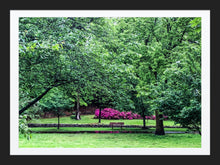 Load image into Gallery viewer, 0287 Park Bench
