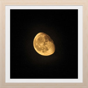 0540 Gibbous Corn Moon