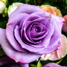 Load image into Gallery viewer, 0430 Lavender Rose