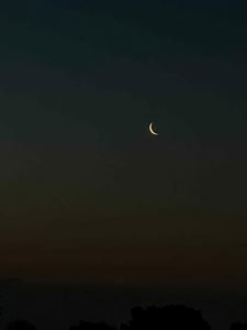 0589 Morning Moon