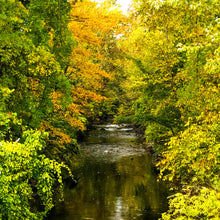 Load image into Gallery viewer, 0561 Peaceful Brook