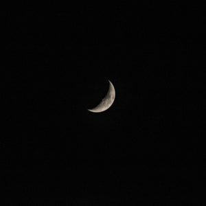 0503 Waning Crescent