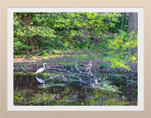 Load image into Gallery viewer, 0500 Lone Egret
