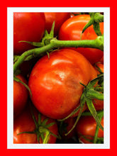 Load image into Gallery viewer, 0414 Tomatoes On The Vine