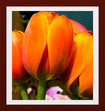 Load image into Gallery viewer, 0401 Orange Tulips