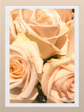 Load image into Gallery viewer, 0506 Peach Roses