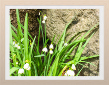 Load image into Gallery viewer, 0583 Lily of the Valley
