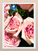 Load image into Gallery viewer, 0234 Lovely Pink Roses