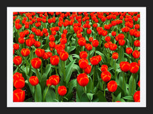 Load image into Gallery viewer, 0262 Grand Orange Display