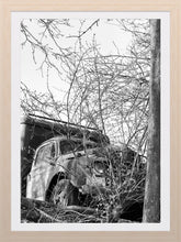 Load image into Gallery viewer, 0247 Vintage Truck