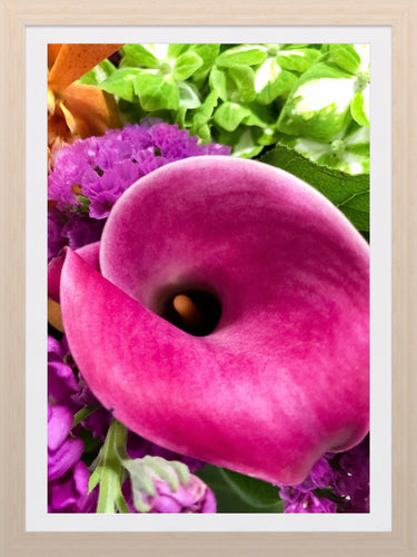 0266 Burgundy Calla Lily