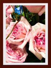 Load image into Gallery viewer, 0234 Lovely Pink Roses